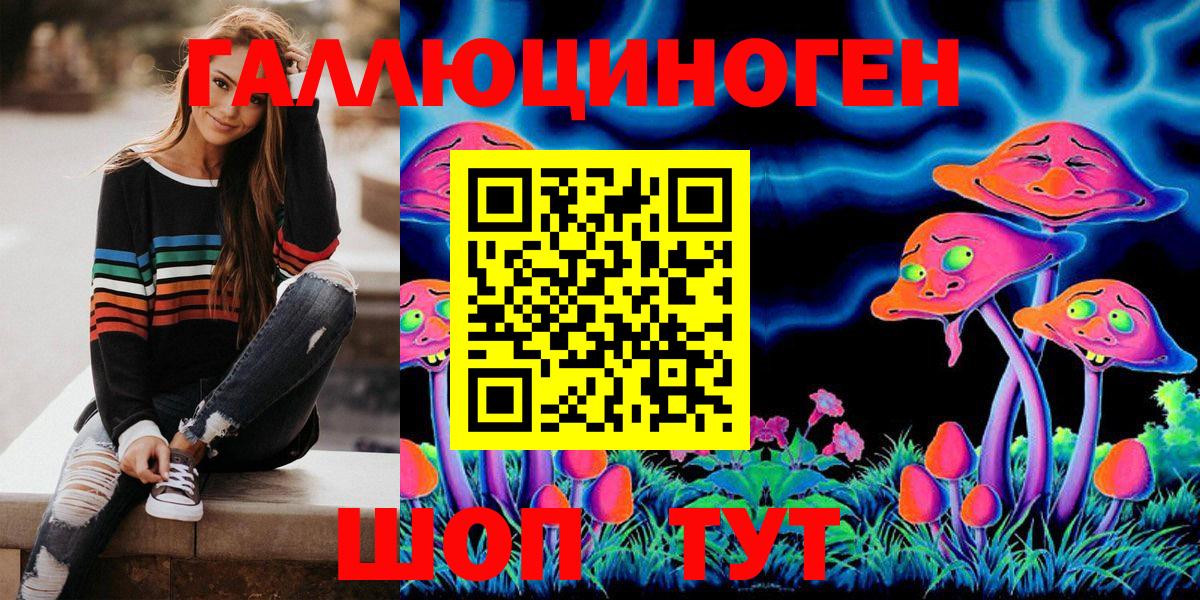 Кандалакша  Псилоцибиновые грибы Psilocybe  Галлюциногенные грибы Psilocybe  Вход с VPN 