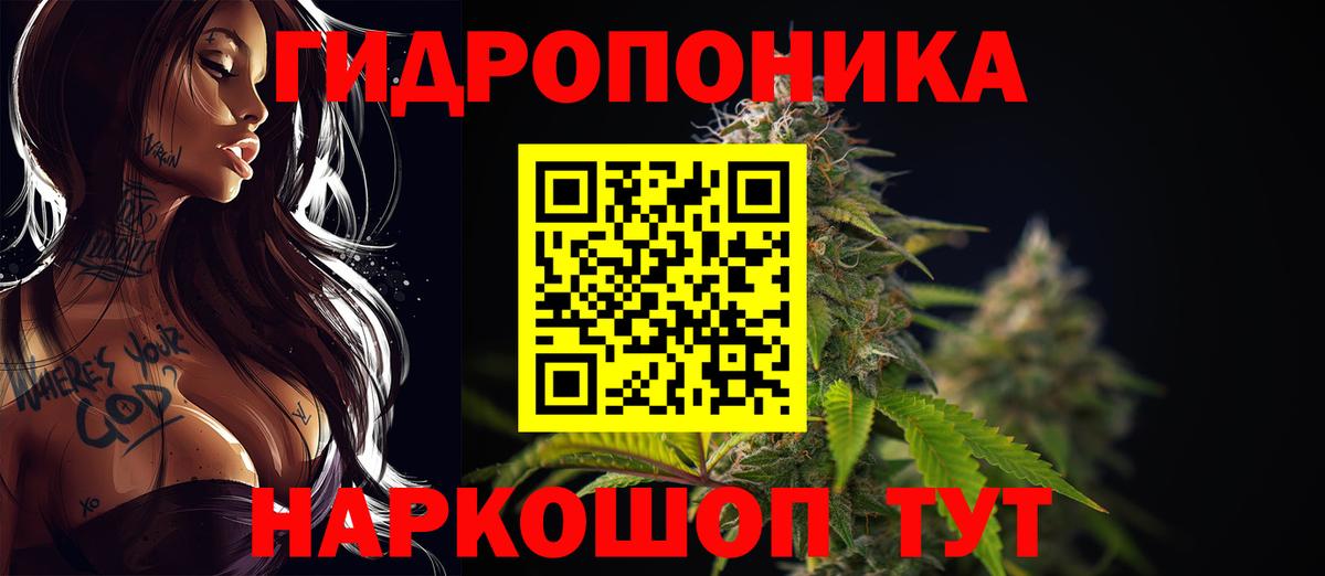 Конопля семена  Марихуана семена  Бошки Шишки SATIVA & INDICA  Бошки Шишки THC 21%  Вход с VPN  Кандалакша 